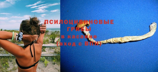 мдпв Бородино
