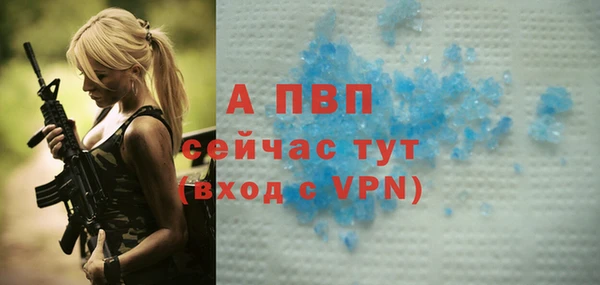 мдпв Бородино