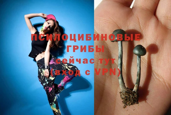 шишки Верхнеуральск