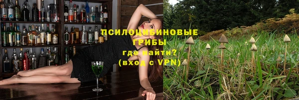 шишки Верхнеуральск