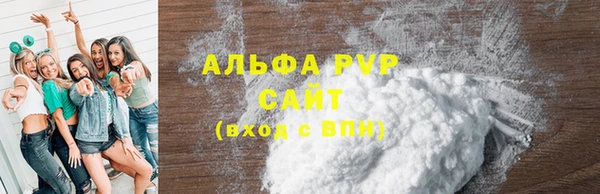 мдпв Бородино