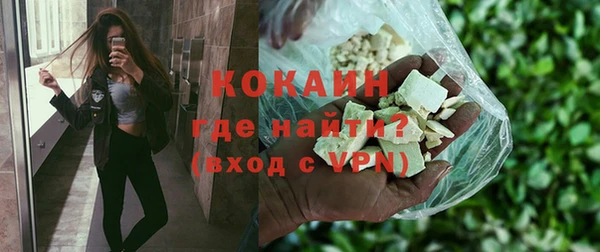 мдпв Бородино